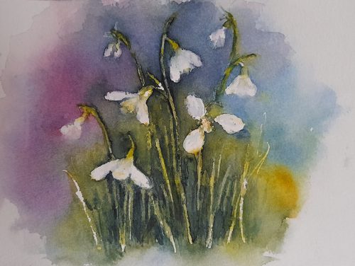 Chrissy F. Snowdrops 2, watercolour.